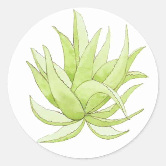 サボテンのステッカーaloe vera ラウンドシール (正面)