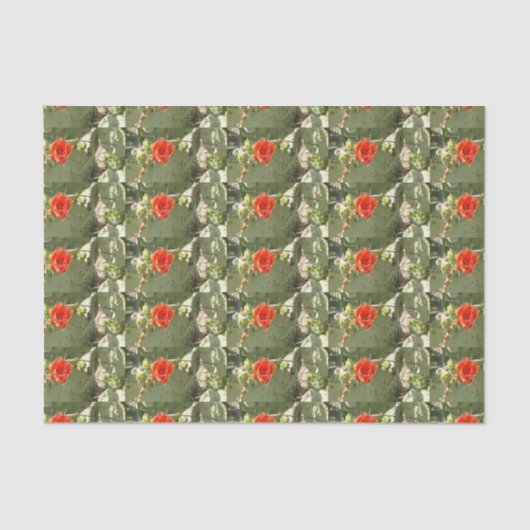 サボテンのタフで美しいギフトティッシュペーパー 薄葉紙 (正面)