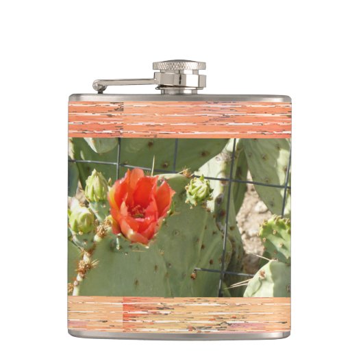 サボテンのタフで美しいフラスコ包まれたク フラスク (正面)
