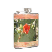 サボテンのタフで美しいフラスコ包まれたク フラスク (右)