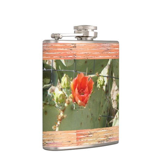サボテンのタフで美しいフラスコ包まれたク フラスク (右)