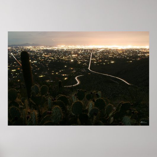 サボテンのナイトライト ポスター (正面)