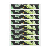 サボテンのパターン2 ラップアラウンドラベル (シート)