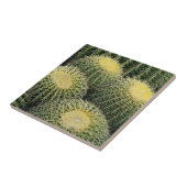 サボテンのパターン タイル (側面)