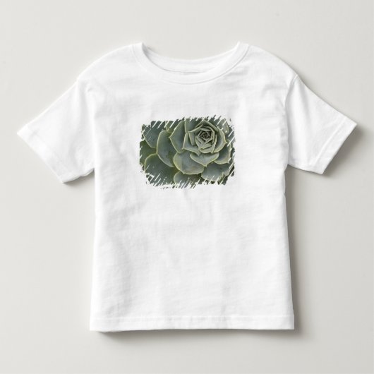 サボテンのパターン トドラーTシャツ (正面)