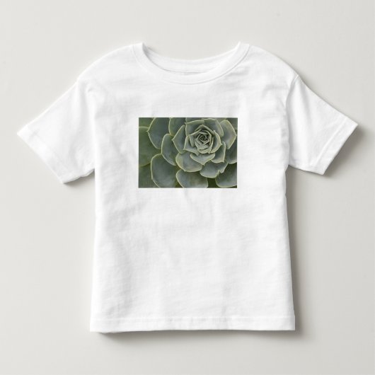 サボテンのパターン トドラーTシャツ (正面)