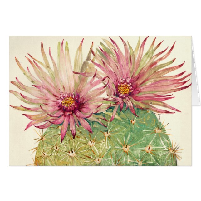 サボテンのピンクの花 (正面横)