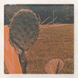 サボテンのフィールドガラスコースター ガラスコースター