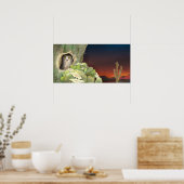 サボテンのフクロウ – ポスター (キッチン)