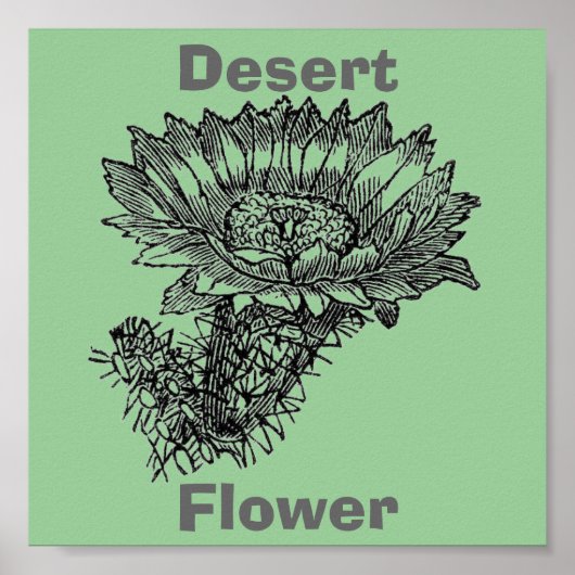 サボテンのポスター ポスター (正面)