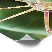 サボテンのポスター ポスター (角)