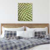 サボテンのマクロ撮影 キャンバスプリント (インサイチュ (寝室))