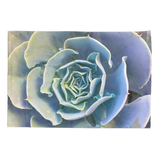 サボテンのミント緑のライトパープルブルーの写真はっきりした 枕カバー (裏面)