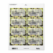 サボテンのラベル ラベル (フルシート)