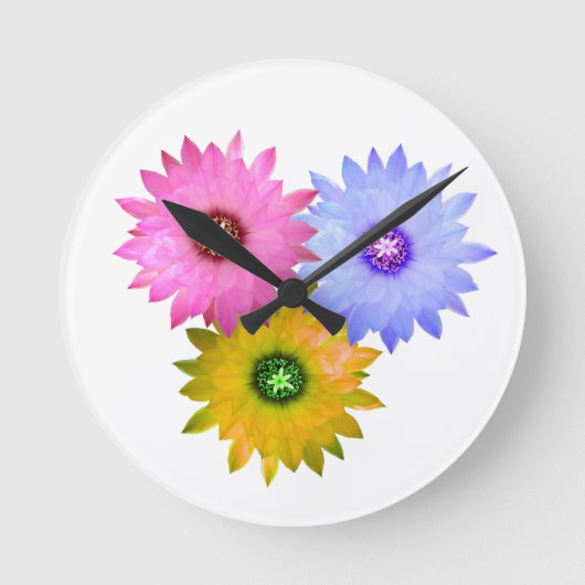 サボテンの三輪の花 ラウンド壁時計 (正面)
