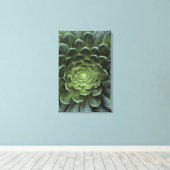 サボテンの中心 キャンバスプリント (インサイチュ (ウッドフロア))
