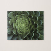 サボテンの中心 ジグソーパズル (横)