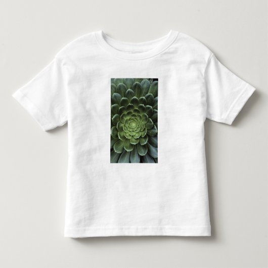 サボテンの中心 トドラーTシャツ (正面)