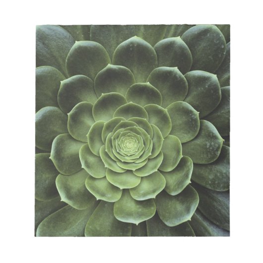 サボテンの中心 ノートパッド (正面)