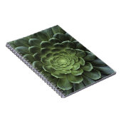 サボテンの中心 ノートブック (右側)