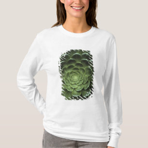 サボテンの中心 Tシャツ