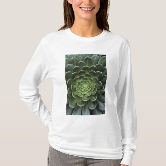 サボテンの中心 Tシャツ (正面)