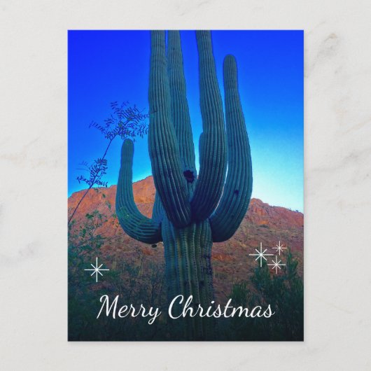 サボテンの写真の砂漠の南西クリスマス シーズンポストカード (正面)