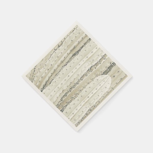 サボテンの写真アートのナプキン オフホワイト モダンでおしゃれ スタンダードカクテルナプキン (角)