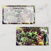 サボテンの多くの品種 名刺 (正面/裏面)