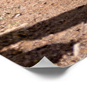 サボテンの庭、熱帯砂漠の風景。 ポスター (角)