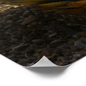 サボテンの朝灯 ポスター (角)