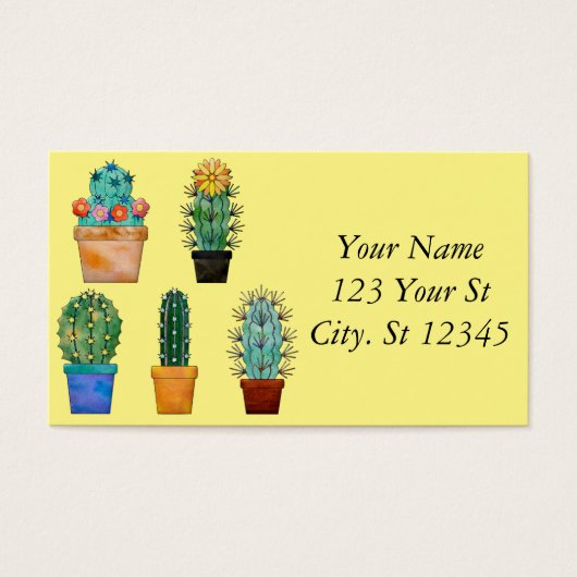 サボテンの植物の組み合わせThunder_Cove (正面)