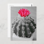 サボテンの植物白黒写真とピンクの花 ポストカード (正面/裏面)