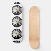 サボテンの着生の花 スケートボード (正面)