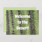 サボテンの砂漠写真不動産鑑賞 ポストカード (正面/裏面)