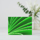 サボテンの緑の模様 ポストカード (スタンド正面)