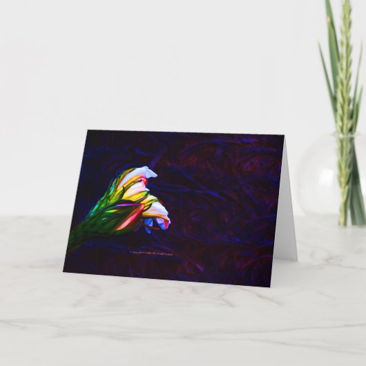 「サボテンの花が夕暮れ#85」写真 カード (正面)