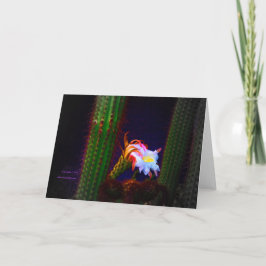 「サボテンの花が日没#105」写真 カード