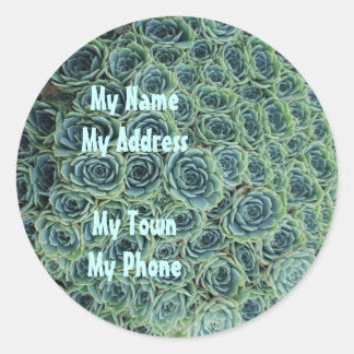 サボテンの花の住所シール ラウンドシール