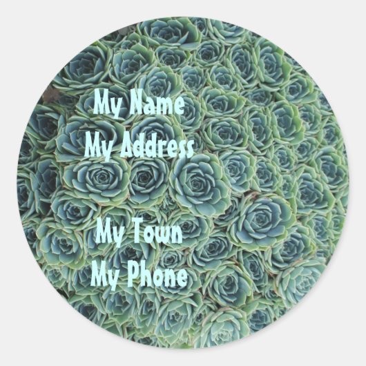 サボテンの花の住所シール ラウンドシール (正面)