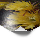 サボテンの花の5倍 フォトプリント            (角)