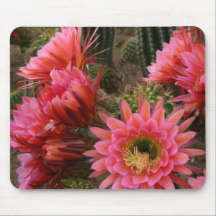 サボテンの花のmousepad マウスパッド