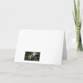 サボテンの花を折ったサンキューカード サンキューカード (裏面)