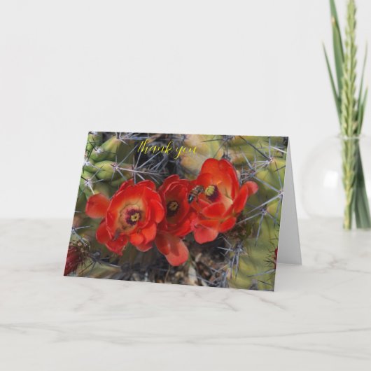 サボテンの花を折ったサンキューカード サンキューカード (正面)