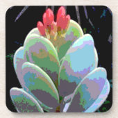 サボテンの花芽 コースター (正面)