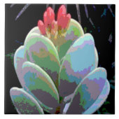 サボテンの花芽 タイル (正面)