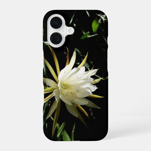 サボテンの花開く iPhone 16ケース (裏面)