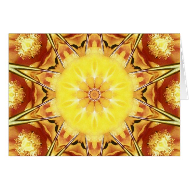 サボテンの花 (正面横)