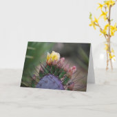 サボテンの花7 カード (黄色い花)