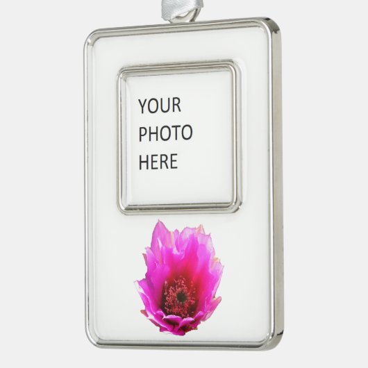 サボテンの花(とげのある梨)ワイルドフラワー シルバープレートフレームオーナメント (左)